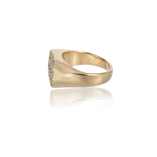 ali grace jewelry signet ring pinky ring diamond ring like jennifer fisher jewelry sustainable fashion ethical jewelry design